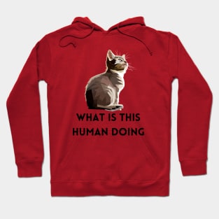 What Is This Human Doing Funny Cat Lovers Design Hoodie